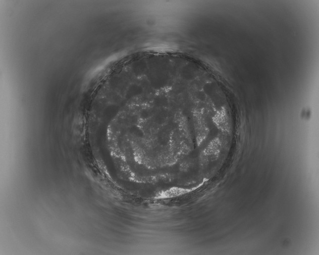 X0000113981398200910231658