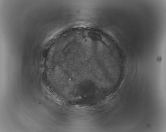 X0000113981399200910231658