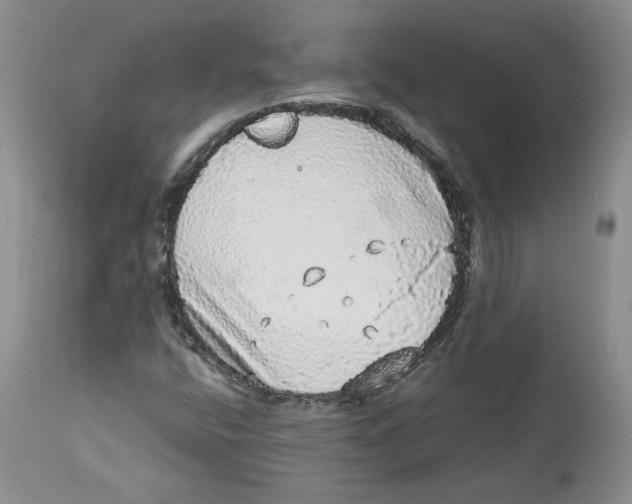 X0000113981400200910231658