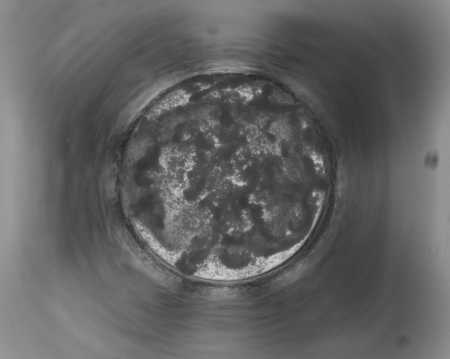 X0000113981401200910231658