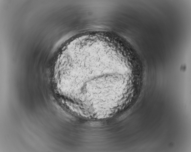 X0000113981402200910231658