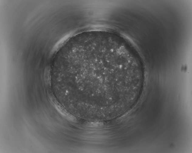 X0000113981403200910231658