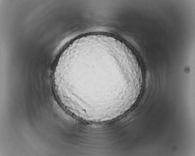 X0000113981404200910231658