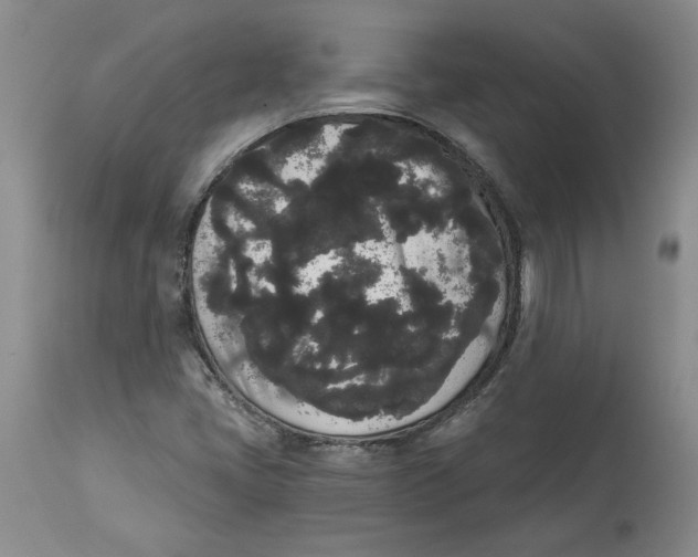 X0000113981405200910231658