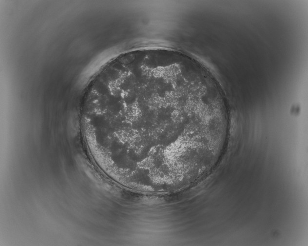 X0000113981407200910231658