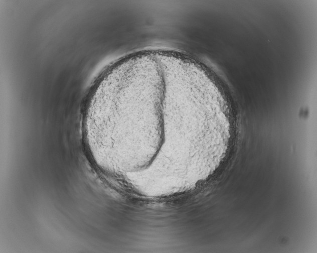 X0000113981408200910231658