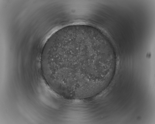 X0000113981409200910231658