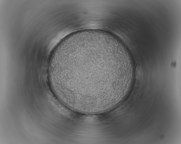 X0000113981410200910231658