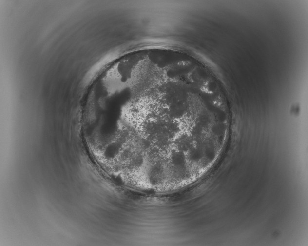 X0000113981411200910231658