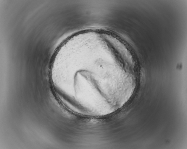 X0000113981412200910231658