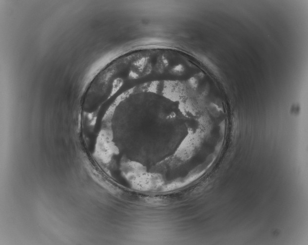 X0000113981413200910231658