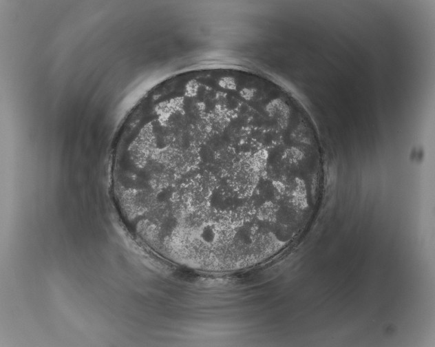 X0000113981415200910231658