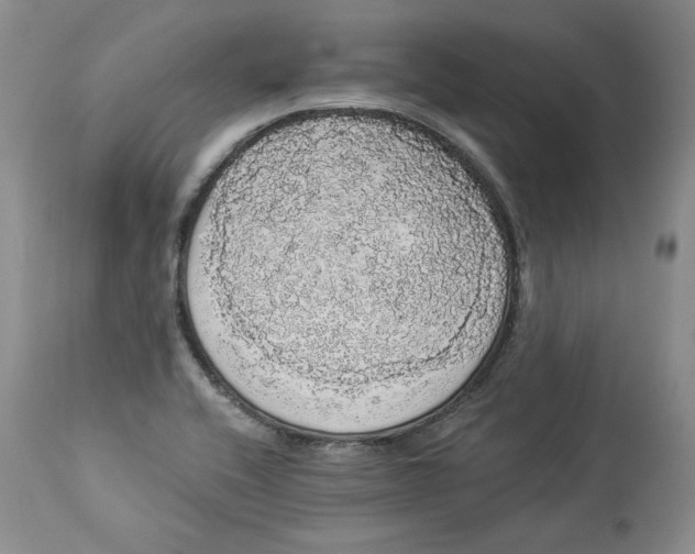 X0000113981416200910231658