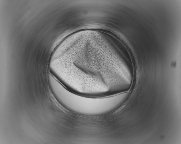 X0000113981417200910231658