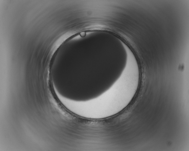 X0000113981418200910231658