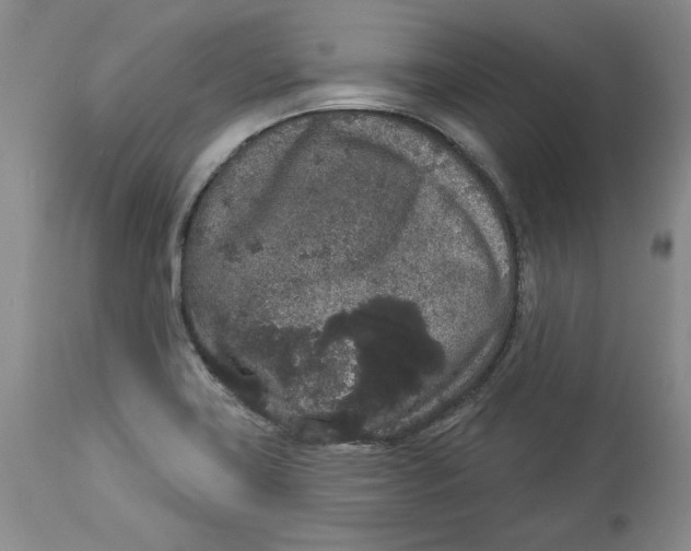 X0000113981419200910231658