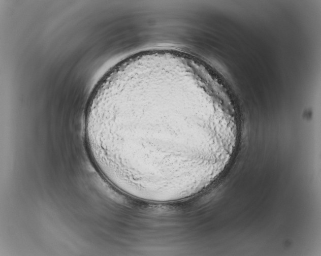 X0000113981420200910231658