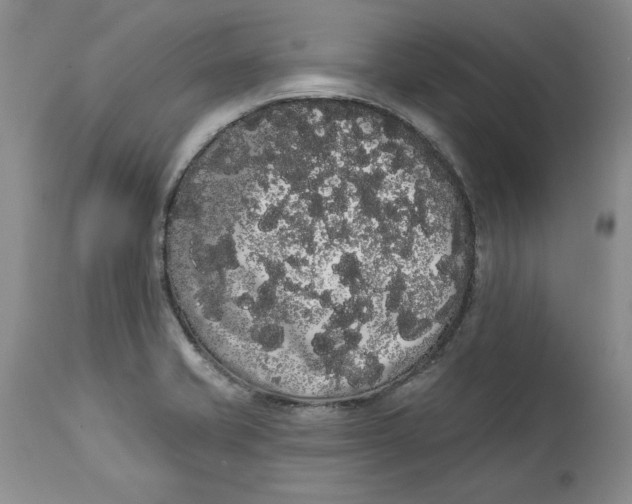 X0000113981421200910231658