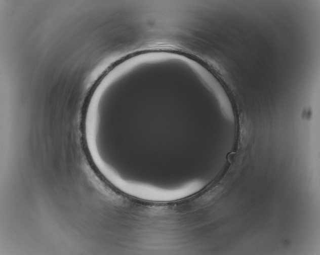 X0000113981422200910231658