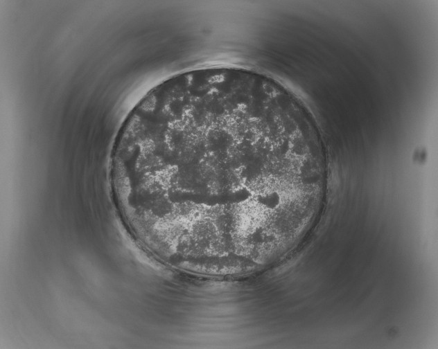 X0000113981423200910231658