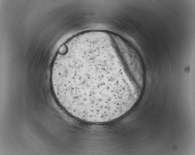 X0000113981424200910231658