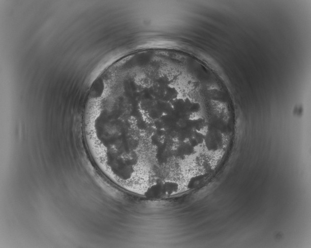 X0000113981425200910231658