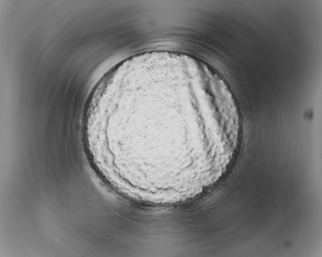 X0000113981426200910231658