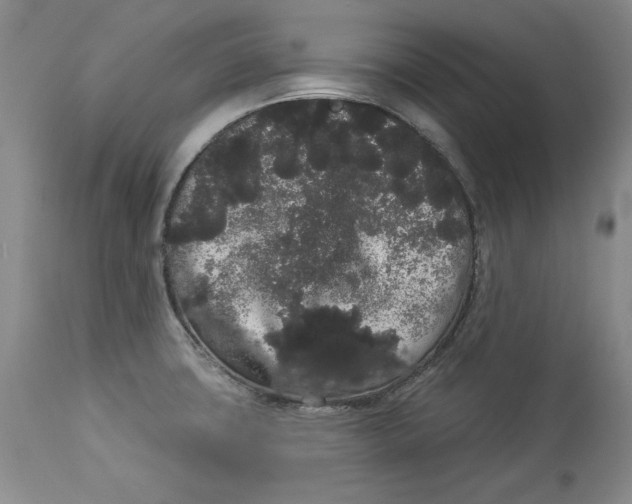 X0000113981427200910231658