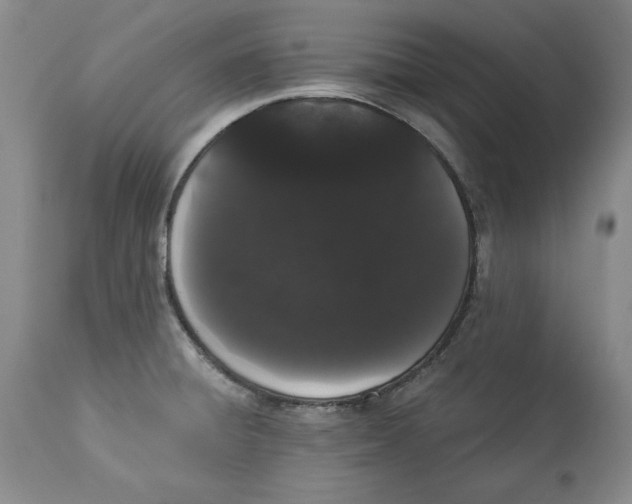 X0000113981428200910231658