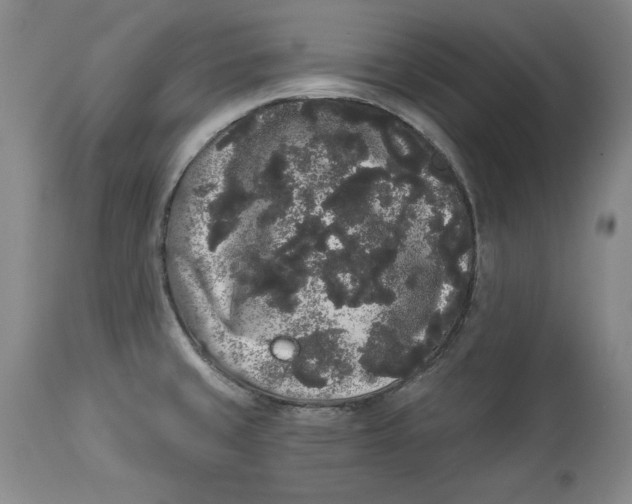 X0000113981429200910231658