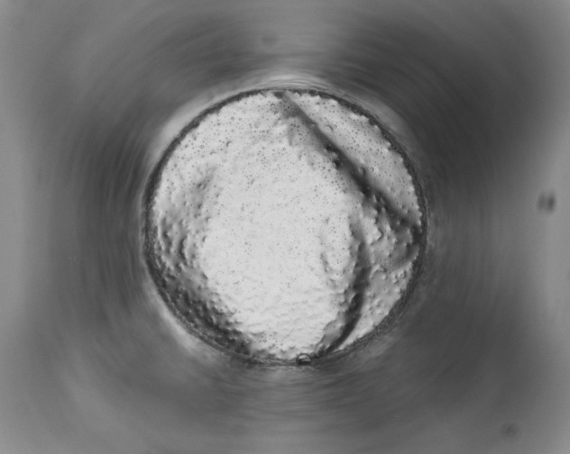 X0000113981430200910231658