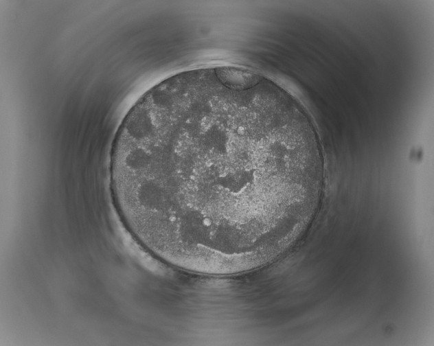 X0000113981431200910231658