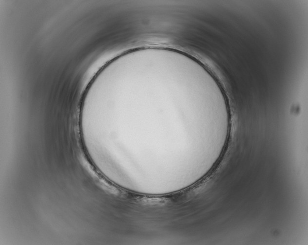 X0000113981432200910231658