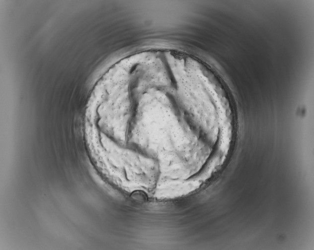 X0000113981433200910231658