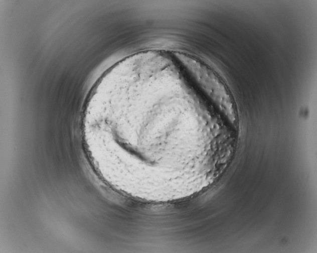 X0000113981434200910231658