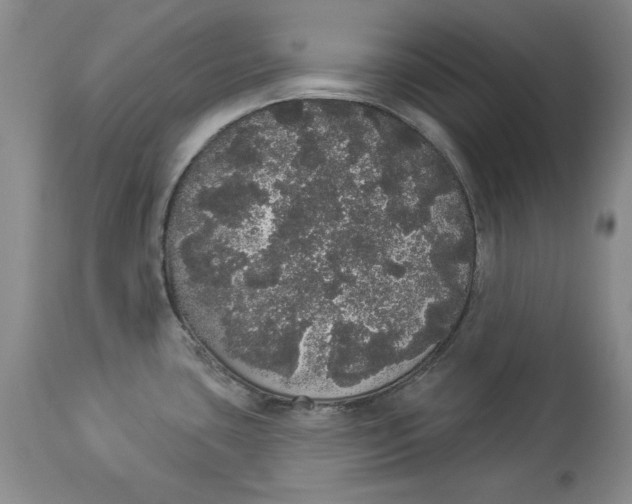 X0000113981435200910231658