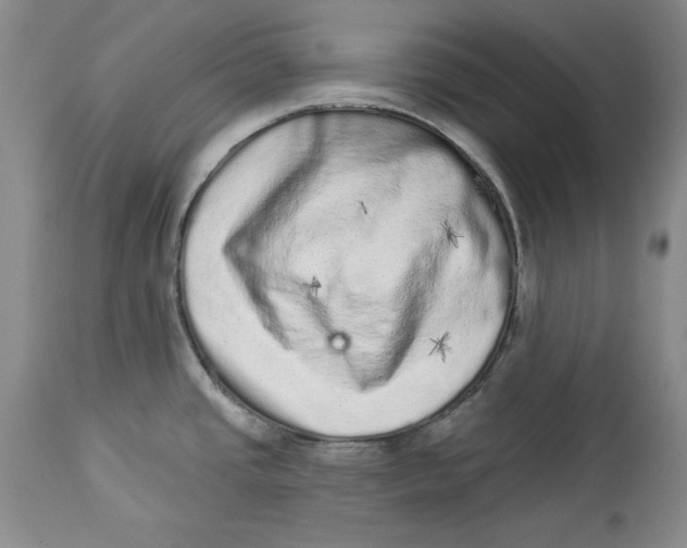 X0000113981437200910231658