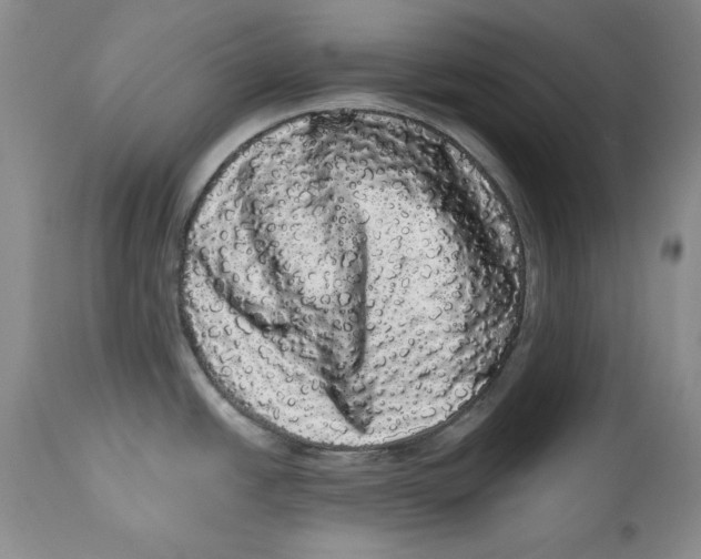 X0000113981438200910231658