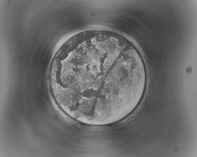 X0000113981440200910231658