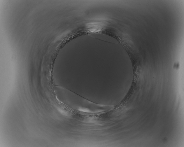 X0000113981441200910231657