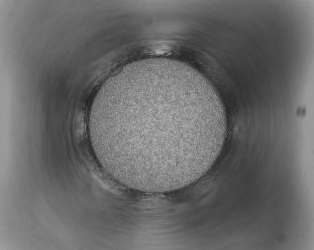 X0000113981442200910231657