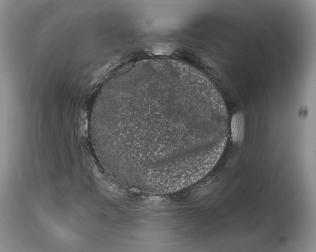 X0000113981443200910231657