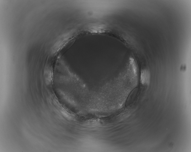 X0000113981444200910231657