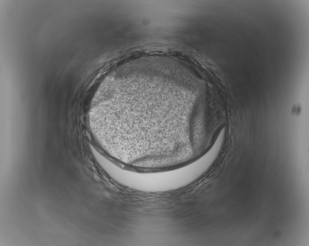 X0000113981445200910231657