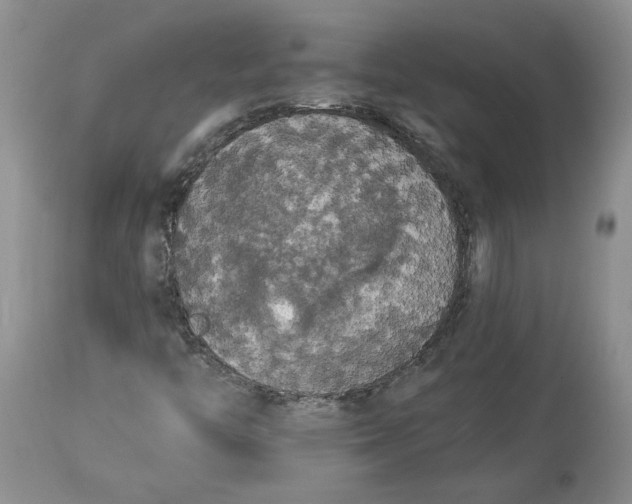 X0000113981446200910231657