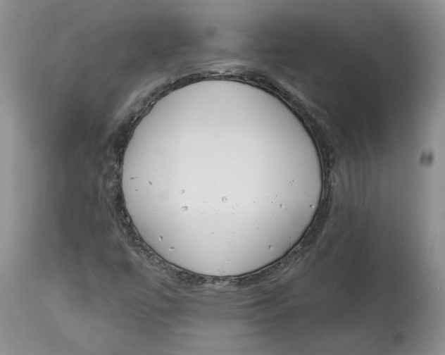 X0000113981447200910231657