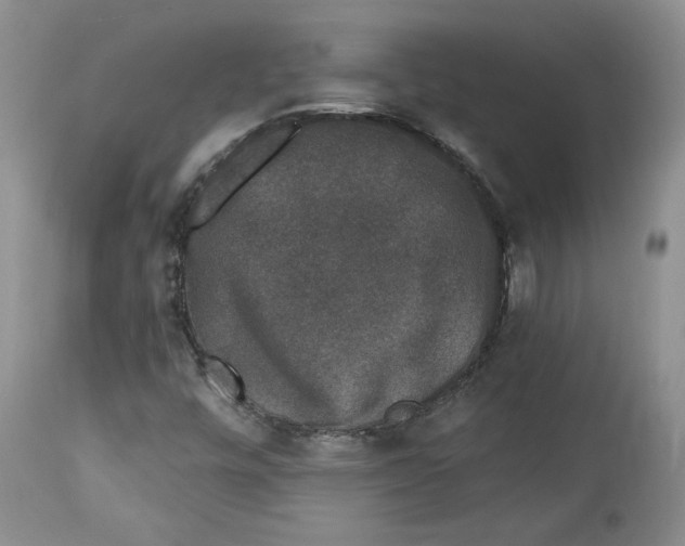 X0000113981448200910231657