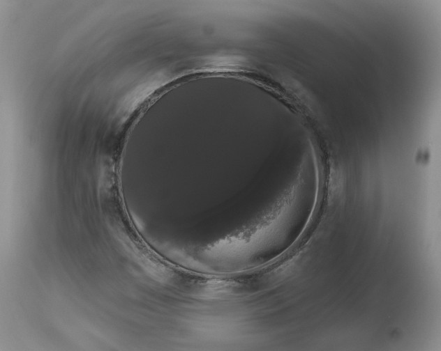 X0000113981449200910231657