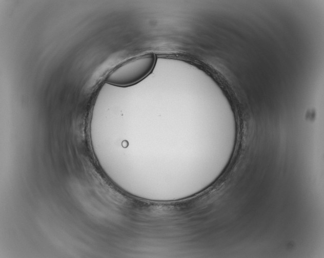 X0000113981451200910231657