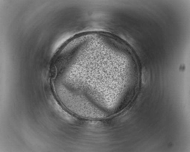 X0000113981452200910231657